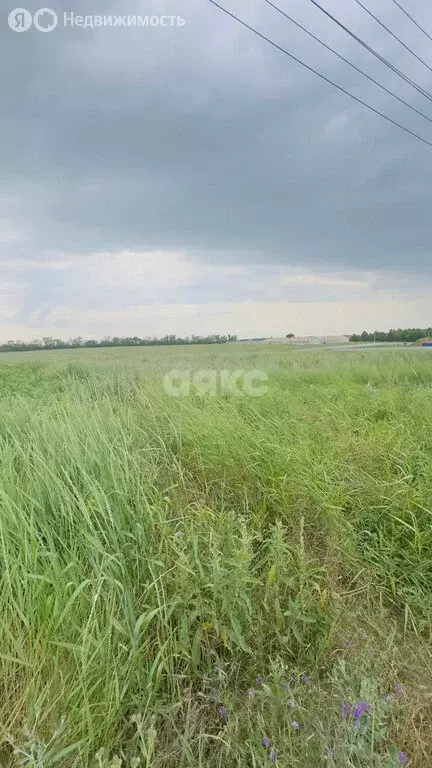 Участок в Кореновск, 2-й квартал (6.6 м) - Фото 0