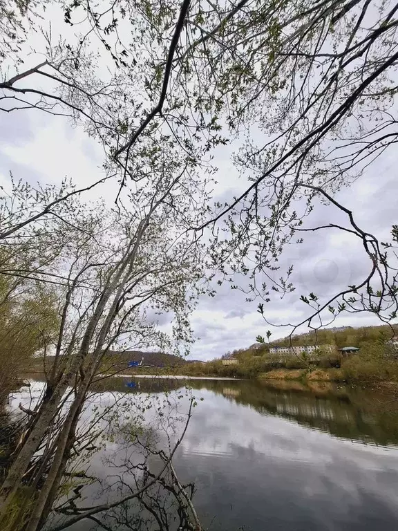 Дом 41,5 м на участке 4 сот. - Фото 0