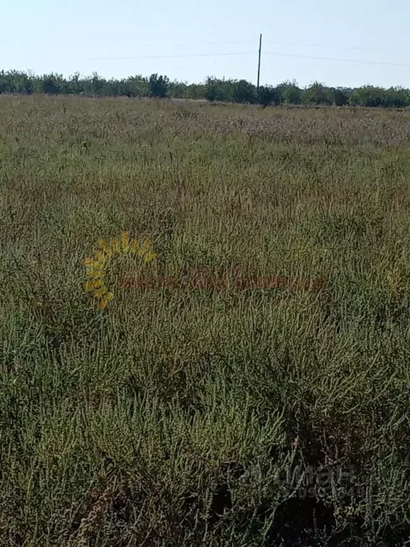 Участок в Краснодарский край, Ейск ул. Герцена (6.25 сот.) - Фото 2