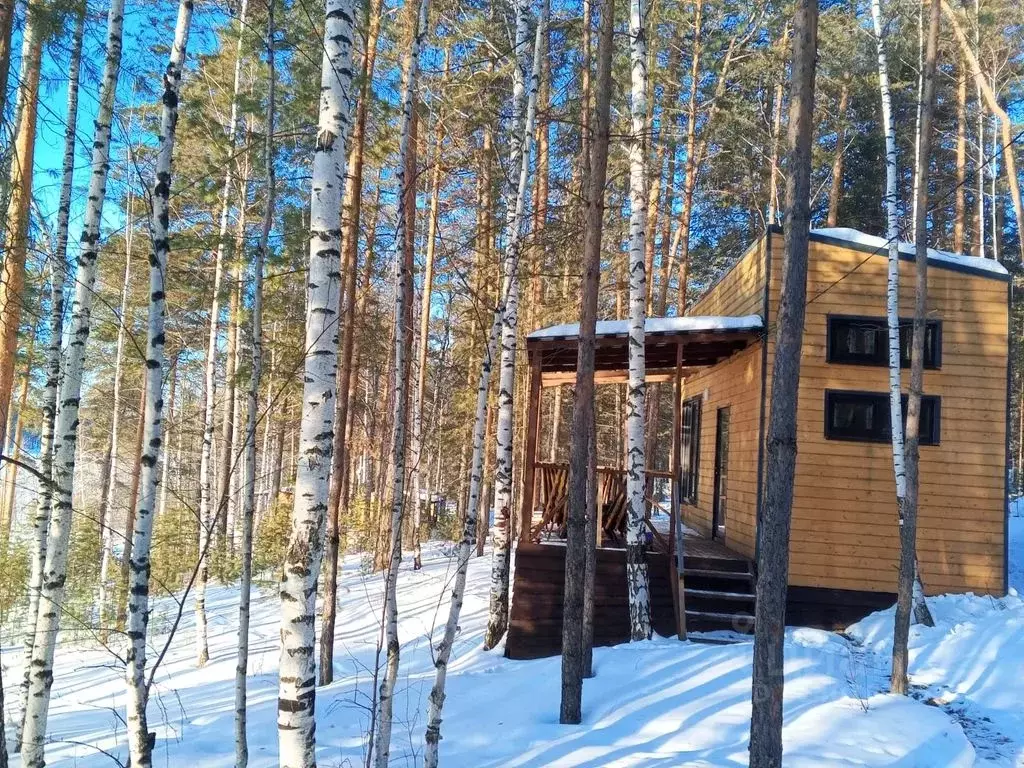 Дом в Свердловская область, Дегтярск ул. Шуры Екимовой, 110А (20 м) - Фото 1
