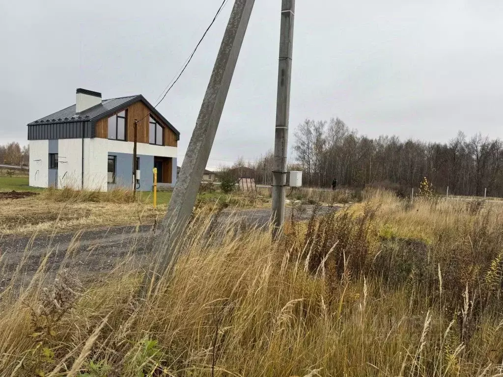 Участок в Нижегородская область, Богородский муниципальный округ, с. ... - Фото 1
