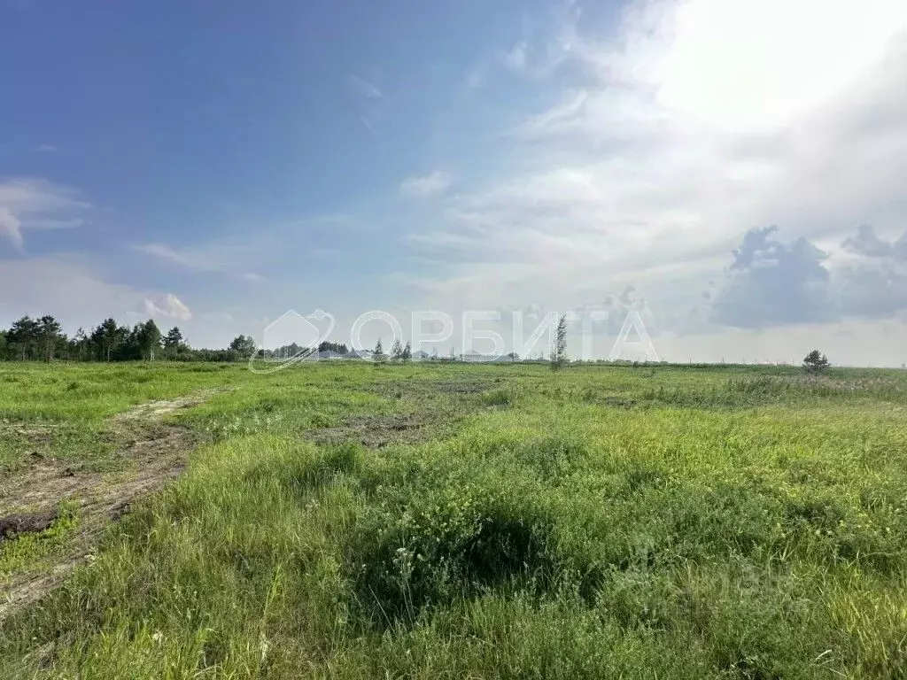 Участок в Тюменская область, Тюменский район, д. Коняшина  (450.0 ... - Фото 0
