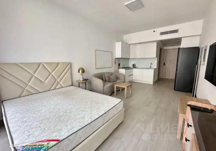 Студия Краснодарский край, Сочи ул. Володарского, 6 (34.6 м) - Фото 1
