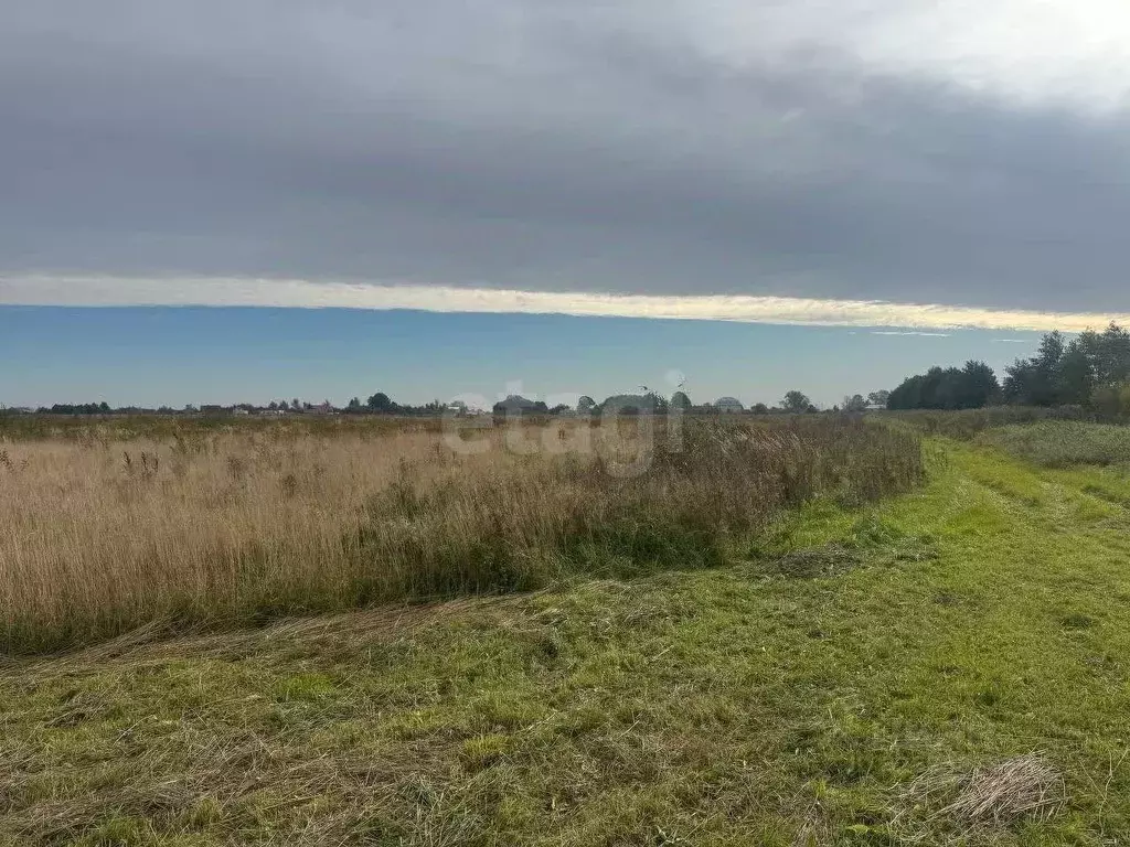Участок в Калининградская область, Зеленоградский муниципальный округ, ... - Фото 2