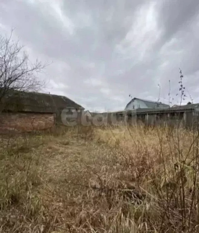 Участок в Брянская область, Брянский район, Добрунское с/пос, пос. ... - Фото 1