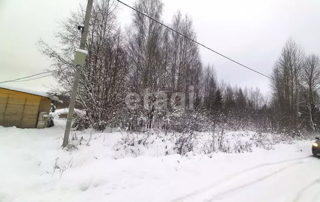 Участок в Вологодская область, Череповец пер. 1-й Кемеровский (8.0 ... - Фото 1