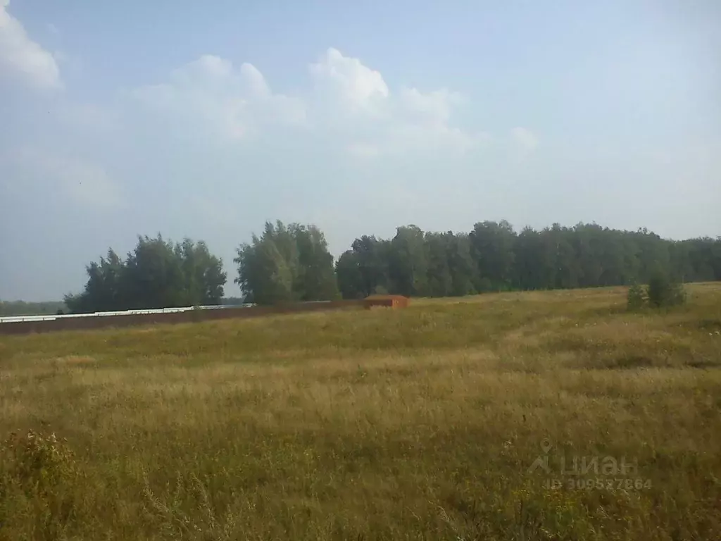 Участок в Тульская область, Новомосковский район, с. Осаново  (15.0 ... - Фото 0