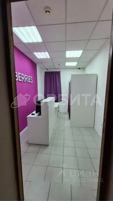 Помещение свободного назначения в Тюменская область, Тюмень ул. ... - Фото 1
