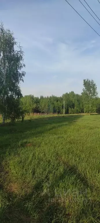 Участок в Нижегородская область, Городецкий муниципальный округ, д. ... - Фото 1