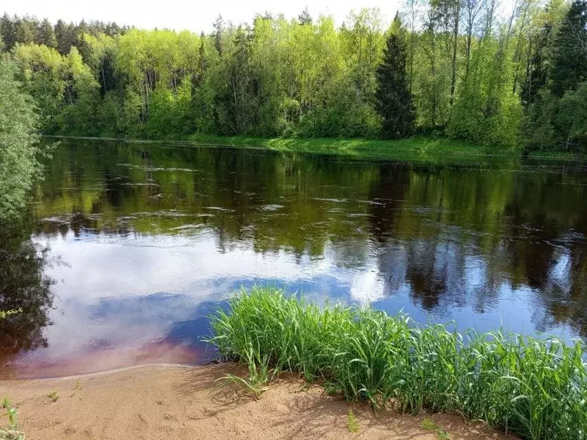 Участок в Сабское сельское поселение, деревня Лемовжа (12.5 м) - Фото 1