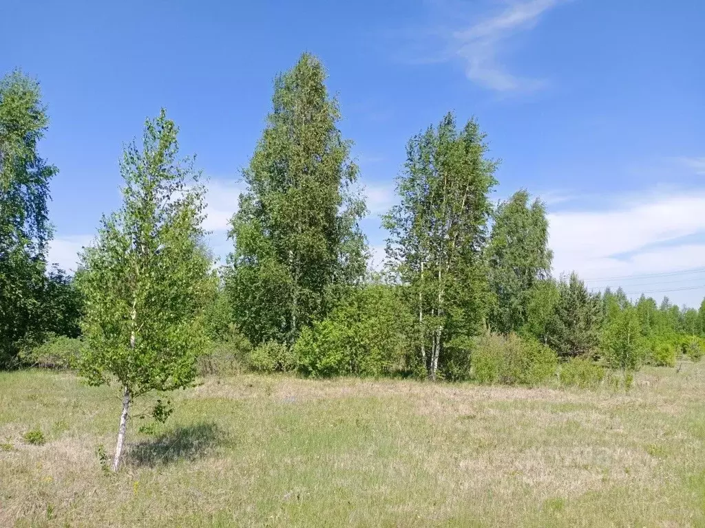 Участок в Свердловская область, Белоярский муниципальный округ, Дружба ... - Фото 2