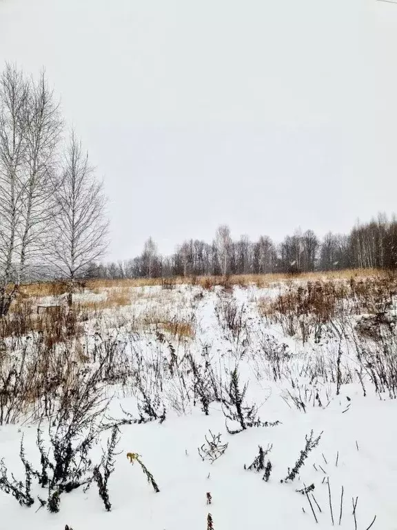 Участок в Тульская область, Тула городской округ, д. Струково проезд ... - Фото 0