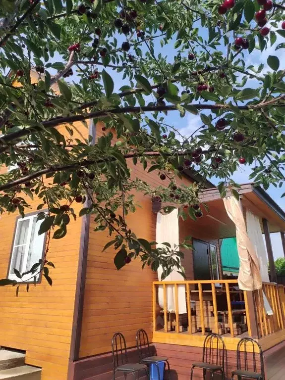 Дом в Краснодарский край, Анапа муниципальный округ, Благовещенская ... - Фото 2