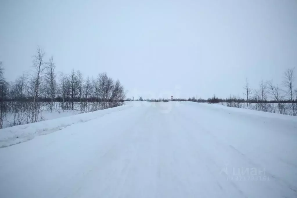 Участок в Ямало-Ненецкий АО, Новый Уренгой ул. Рахманинова, 18 (12.0 ... - Фото 1