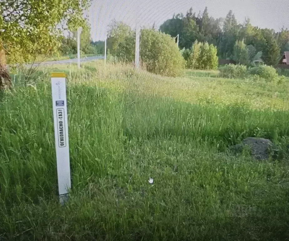 Участок в Калужская область, Тарусский район, Похвиснево с/пос, д. ... - Фото 2