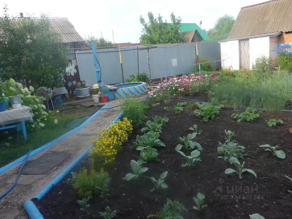 Дом в Оренбургская область, Бугуруслан Авиационная ул. (61 м) - Фото 2