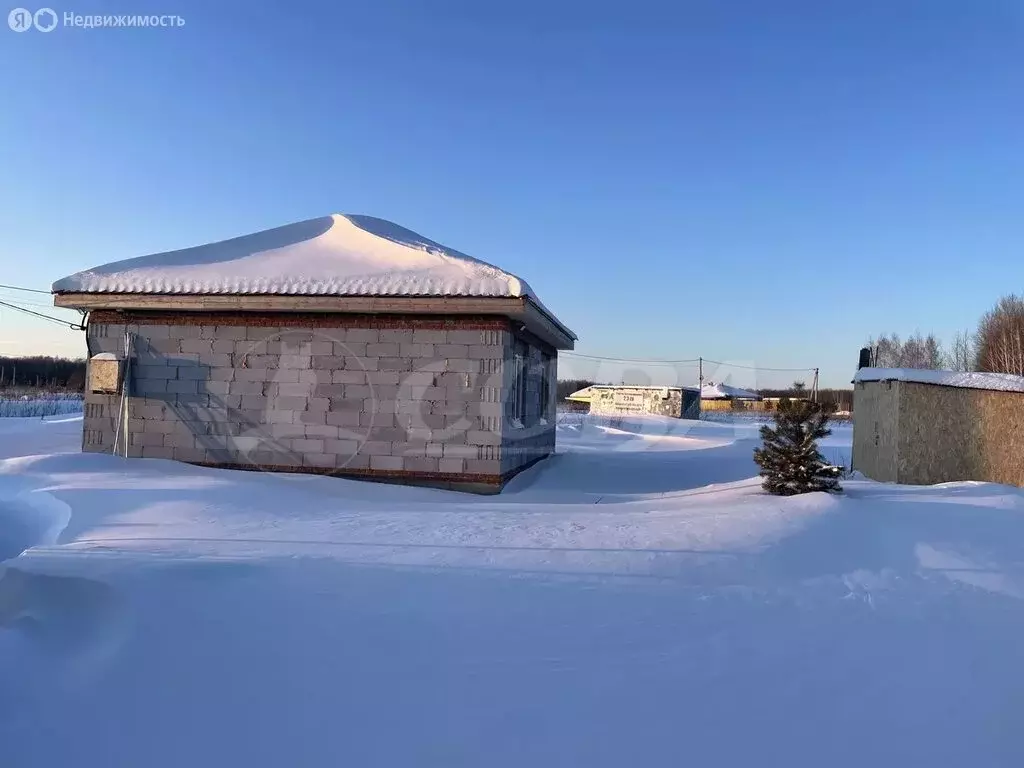 Дом в Тюменский муниципальный округ, село Кулига (52 м) - Фото 1