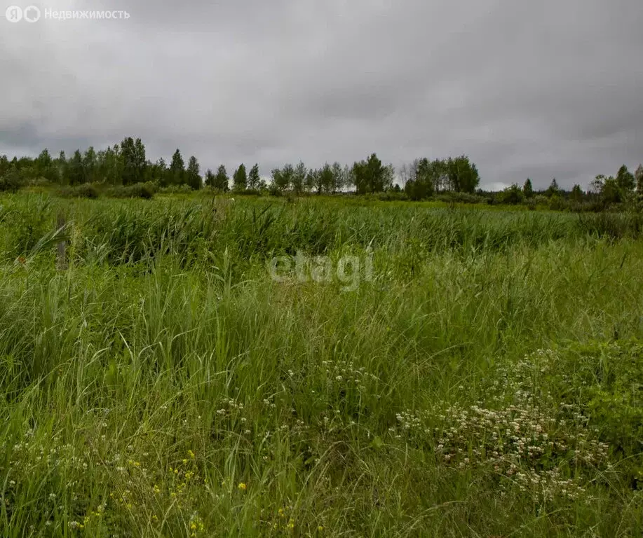 Участок в Тюменский район, ТСН СО Надежда (10 м) - Фото 0