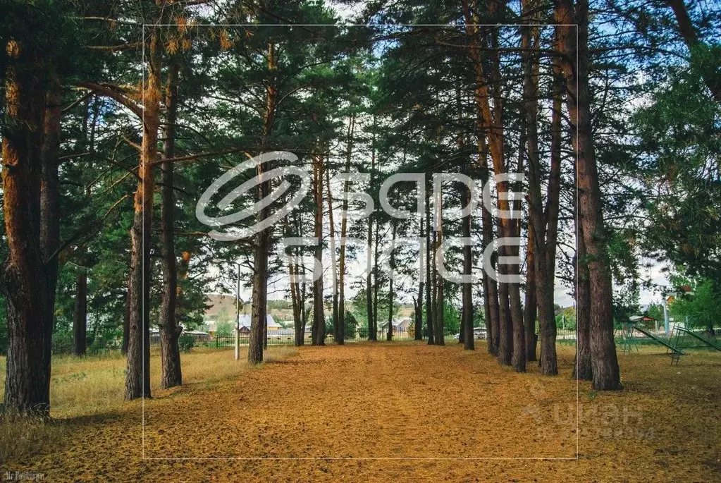 Участок в Рязанская область, Шацк  (800.0 сот.) - Фото 1