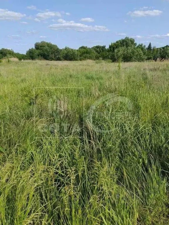 Участок в Воронежская область, с. Новая Усмань ул. Ленина, 22 (18.0 ... - Фото 2