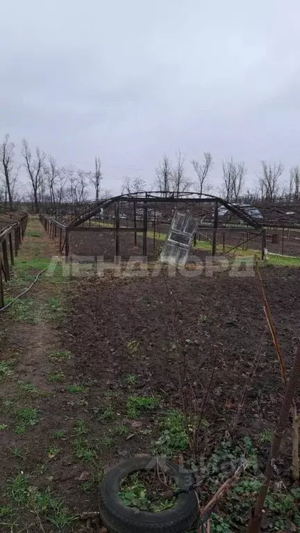Участок в Ростовская область, Октябрьский район, Бессергеневское ... - Фото 0