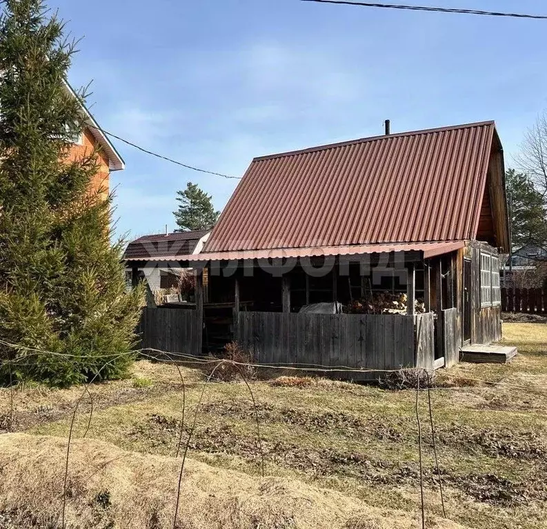 Дом в Новосибирская область, Колыванский район, Ветеран СНТ  (35 м) - Фото 0