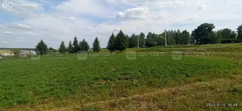 Участок в Высокогорский район, Альдермышское сельское поселение, ... - Фото 1