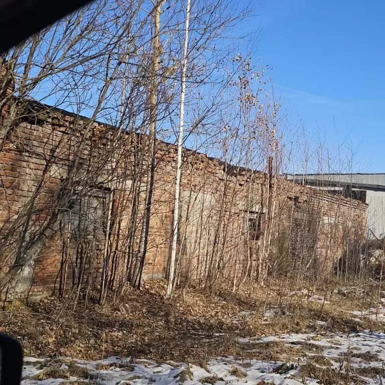 Помещение свободного назначения в Томская область, Стрежевой ул. ... - Фото 1