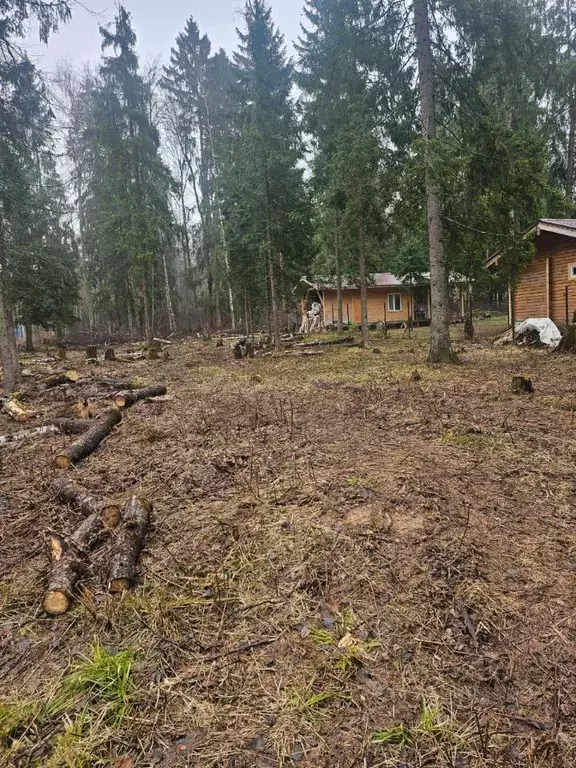 Участок в Москва № 157 кв-л,  (10.0 сот.) - Фото 2