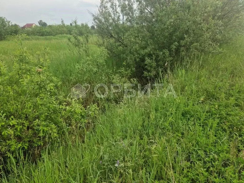 Участок в Тюменская область, Тюменский район, с. Мальково  (31.0 сот.) - Фото 1