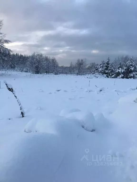 Участок в Московская область, Орехово-Зуевский городской округ, д. ... - Фото 2
