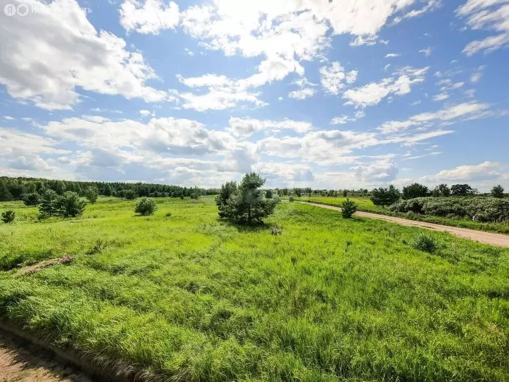 Участок в Тюменская область, Ишимский муниципальный округ, посёлок ... - Фото 1