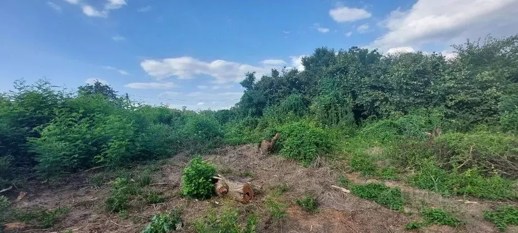 Участок в Краснодарский край, Северский район, Львовское с/пос, с. ... - Фото 1