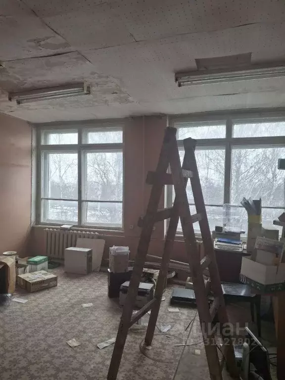Помещение свободного назначения в Вологодская область, Великий Устюг ... - Фото 1