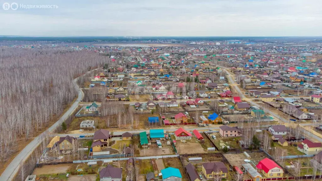 Участок в Тюменская область, Ялуторовский муниципальный округ, ТСН СО ... - Фото 2