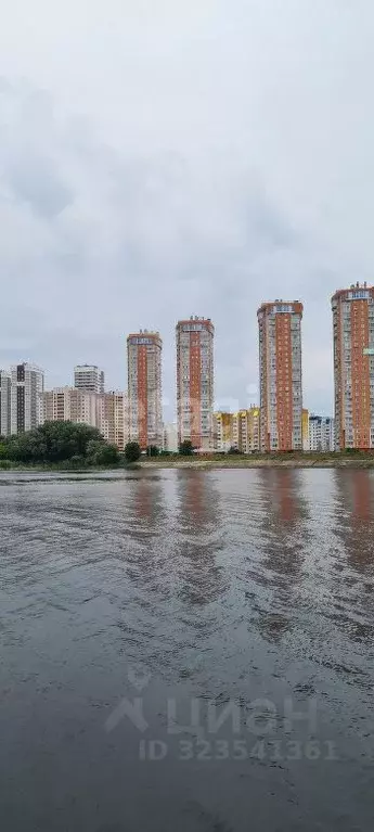 1-к кв. Саратовская область, Энгельс Трудовая ул., 12/7 (48.12 м) - Фото 2