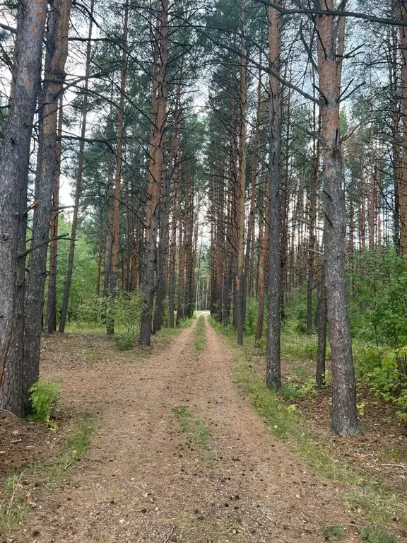 Участок в Татарстан, Зеленодольский район, Раифское с/пос, с. ... - Фото 1