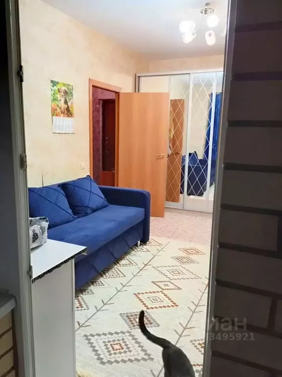 1-к кв. Ленинградская область, Кировск Набережная ул., 19 (30.0 м) - Фото 1
