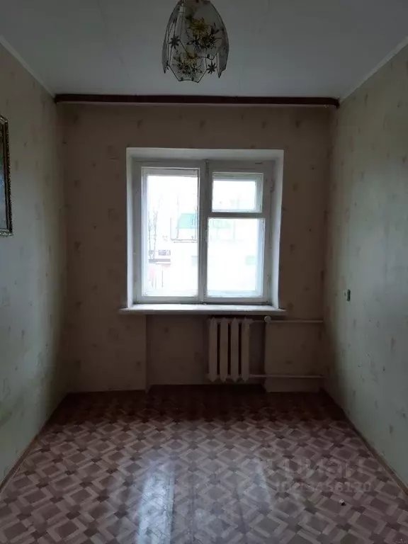 Авито брянск комнаты в общежитии