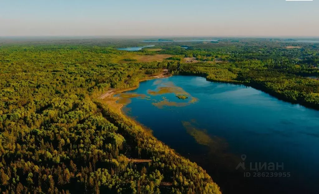 Участок в Ленинградская область, Всеволожский район, Токсовское ... - Фото 1