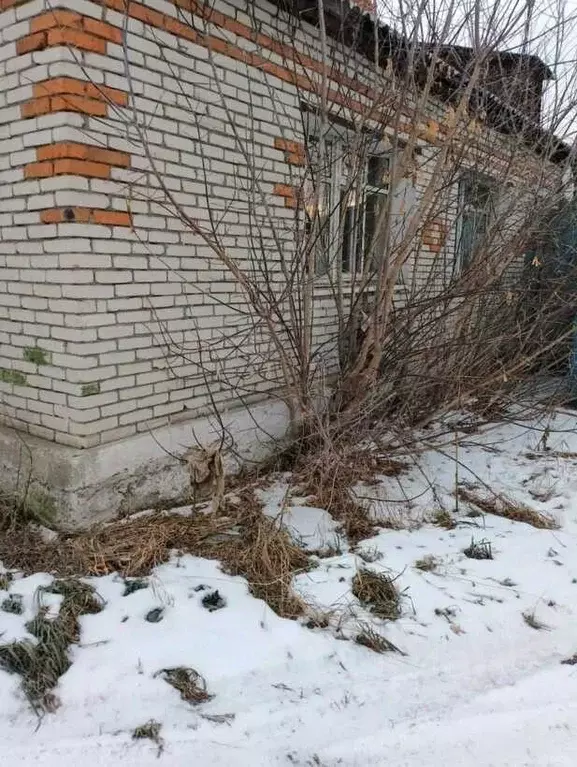 Помещение свободного назначения в Курганская область, Щучанский ... - Фото 2