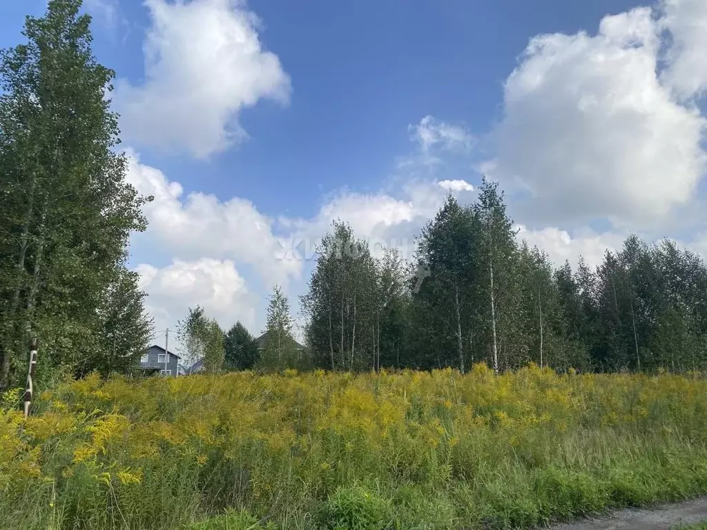 участок в новосибирская область, новосибирск пашино мкр, ул. ратная . - Фото 0