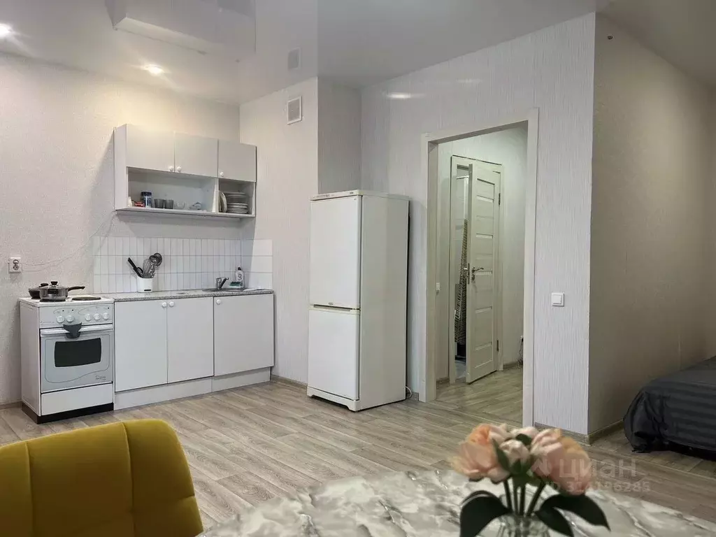 Студия Тюменская область, Тюмень ул. Дмитрия Менделеева, 2 (29.0 м) - Фото 1