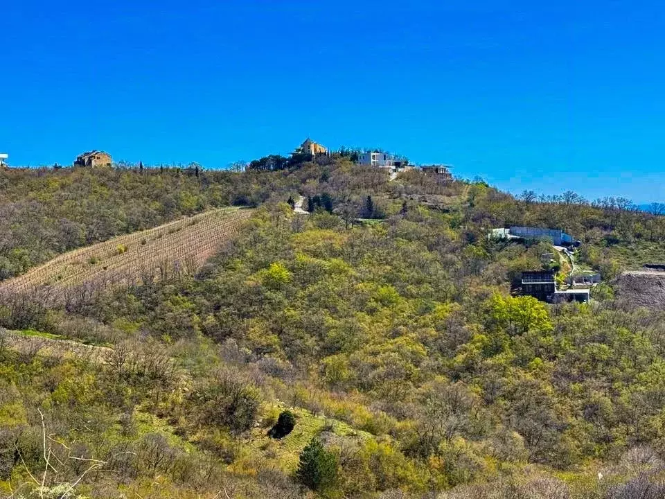 Участок в Крым, Алушта муниципальный округ, Партенит пгт ул. ... - Фото 2