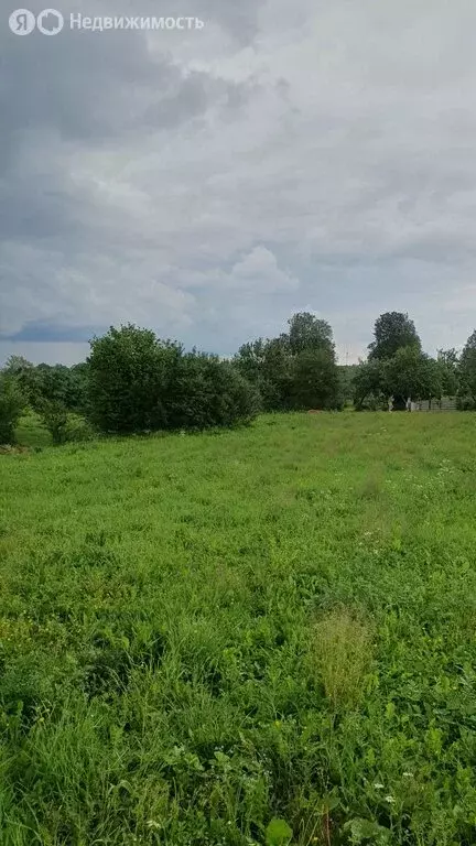 Участок в Сергиево-Посадский городской округ, деревня Посевьево, 5 (20 ... - Фото 2