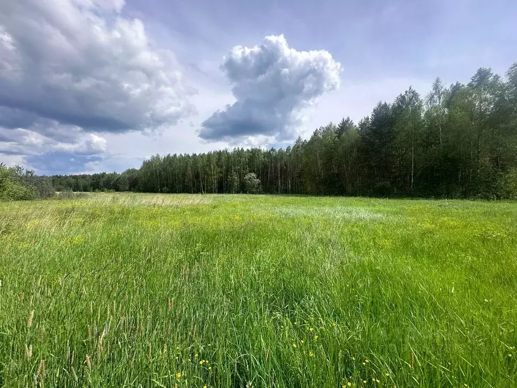 Участок в Московская область, Богородский городской округ, д. Тимково ... - Фото 1