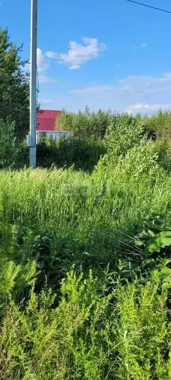 Участок в Свердловская область, Сысертский муниципальный округ, пос. ... - Фото 1