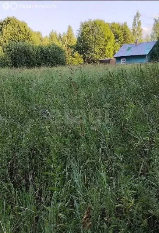 Участок в Вологодская область, Кирилловский муниципальный округ, ... - Фото 2