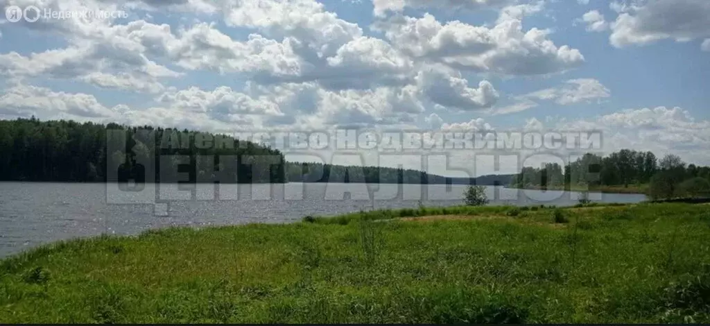 Участок в Смоленская область, Рославльский муниципальный округ, ... - Фото 2