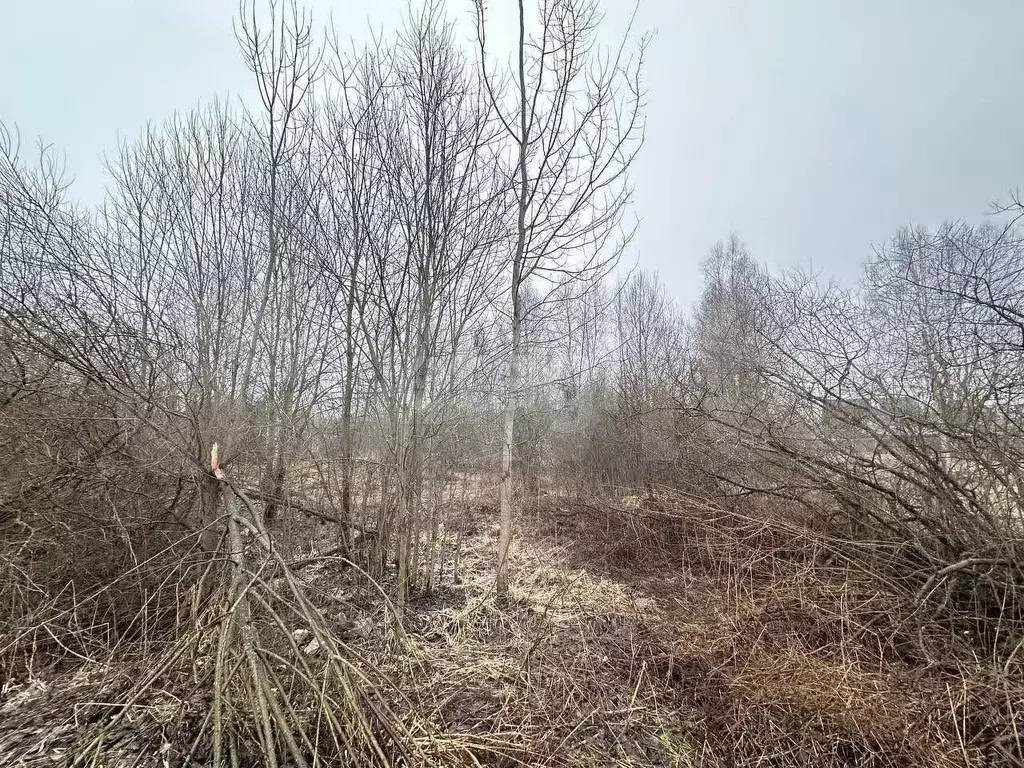 Участок 9,8 сот. (СНТ, ДНП) - Фото 1